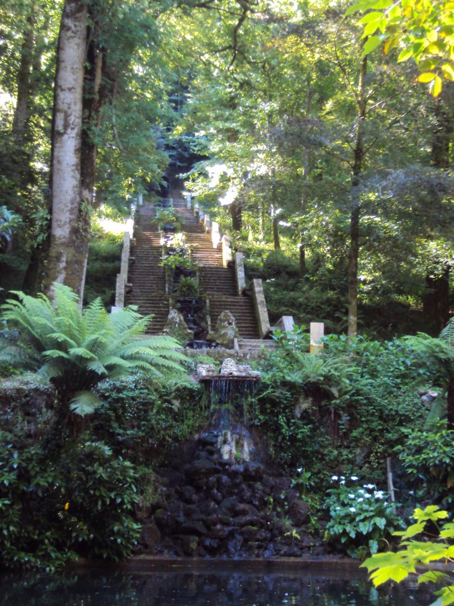 Parque Tematico Vale De Mouro Villa Ngoại thất bức ảnh